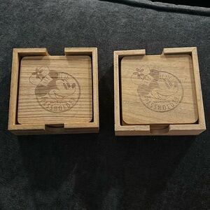 Disney World Annual Passholder Coasters